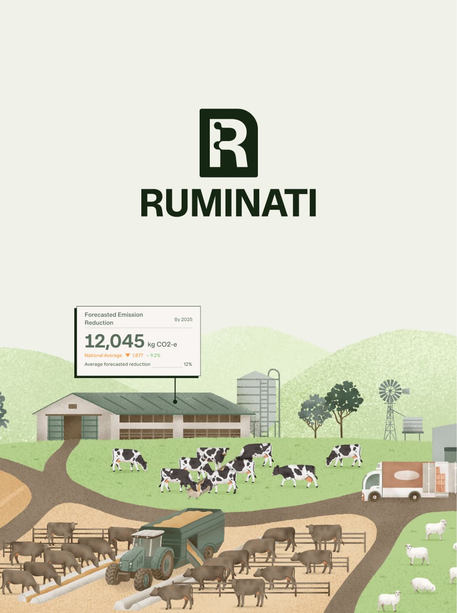 Ruminati